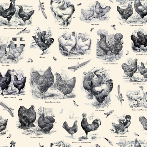 Pattern of vintage chicken illustrations